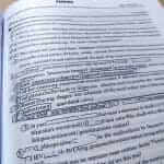 IELTS Reading Passage Example