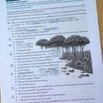 ielts reading test example