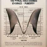 Voice Change Chart