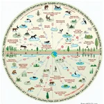 Biodiversity's role in maintaining ecosystem balance