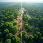 Urban sprawl impact on biodiversity