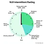Intermittent fasting benefits and daily routine diagram