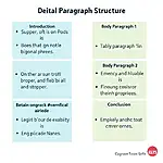 IELTS Task 1 Paragraph Structure