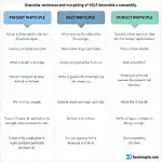 Using participle clauses for complex ideas in IELTS