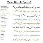 Examples of Tone and Pitch in IELTS Listening
