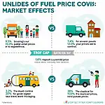 Fuel Price Control Impact on Consumers