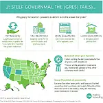 Government subsidies for green technology and environmental policy