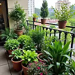 Urban garden with diverse plant species on balcony