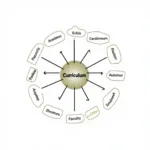 Common academic terms used in education context