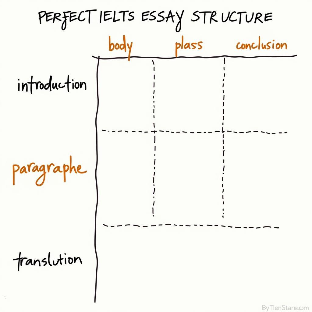 IELTS Task 2 Essay Structure and Organization