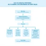 Essential components of IELTS Task 2 argument organization