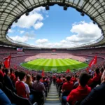 Enthusiastic crowd cheering at a packed sports stadium