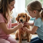 Children developing responsibility and empathy through pet care activities