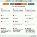 Essential vocabulary and expressions for IELTS speaking success