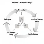Understanding IELTS task analysis for life expectancy essay