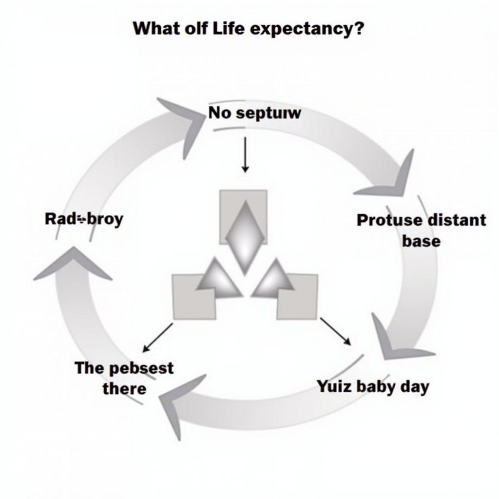 Understanding IELTS task analysis for life expectancy essay