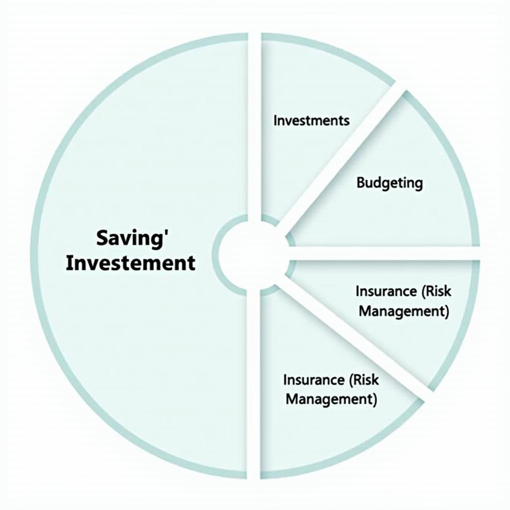 Infographic highlighting insurance as a key component in personal financial planning for risk management
